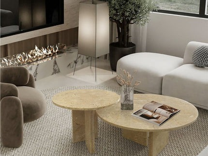 Elegant Coffee Duo Table Set