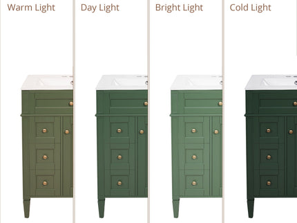 Bathroom Vanity With Top Sink, Storage Cabinet With 2 Drawers And Tip-Out Drawer