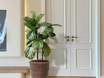 3 Pieces Flowerpot, Planter For Patio, Garden Or Windowsills