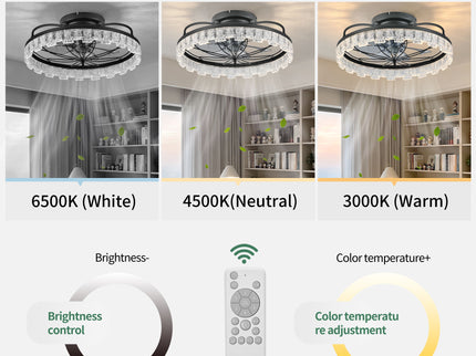 Ceiling Fan With Light, Flower Caged Ceiling Fan With Remote, LED Low Profile Ceiling Light - Matte Black