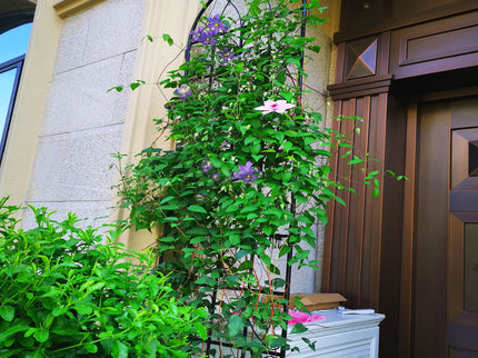 Metal Garden Rustproof Trellis For Climbing Plants Outdoor Flower Support