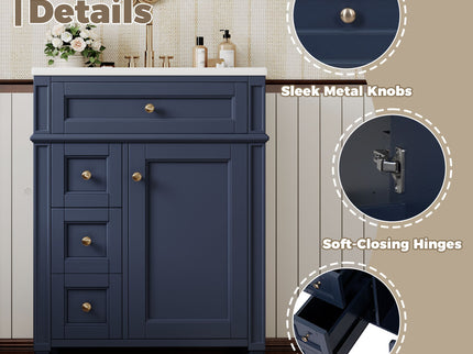 Bathroom Vanity With Top Sink, Storage Cabinet With 2 Drawers And Tip-Out Drawer