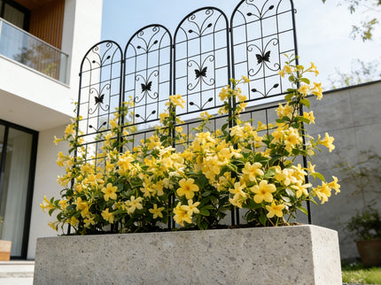 Garden Metal Trellis Rustproof Trellis For Climbing Plants Outdoor Flower Support