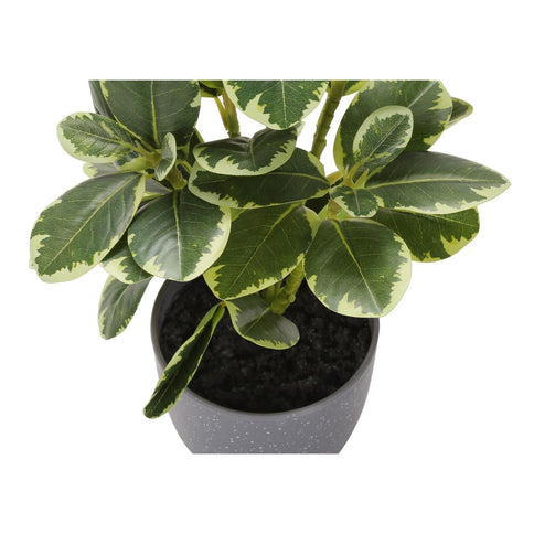 Artificial Ficus Elastica Plant (Set of 2)