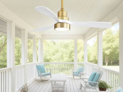 Indoor Ceiling Fan With Dimmable LED Light, 6 Speed Remote ControlLED DC Motor, Reversible Blades