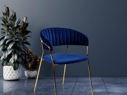 Accent Armchair For Home (Set of 2) - Blue