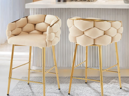 Modern Counter Stools (Set of 2)