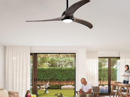 Indoor Outdoor Ceiling Fan With Light With Remote Control, Noiseless Reversible Motor, 6 Speed, 3 Color