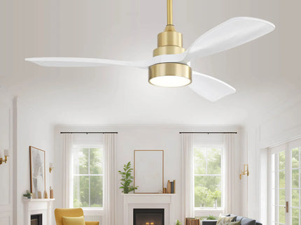 Indoor Ceiling Fan With Dimmable LED Light, 6 Speed Remote ControlLED DC Motor, Reversible Blades