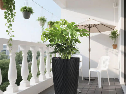 Tall Planters Set With Water Level Monitor And Auto Watering