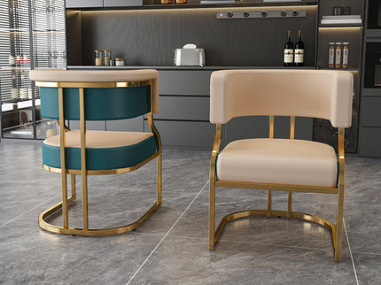 Dining Chairs Ergonomic Curved Backres (Set of 2) - Blue / Neutral