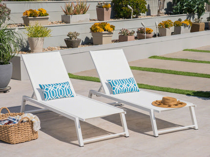 Myers - Modern Chaise Lounge Set With Adjustable Back