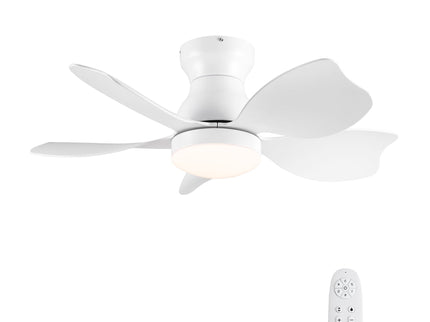 Low Profile Flush Mount Ceiling Fan With Light