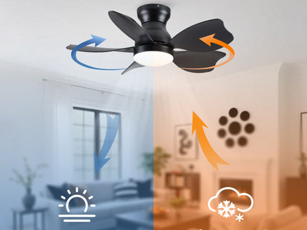 Low Profile Flush Mount Ceiling Fan With Light