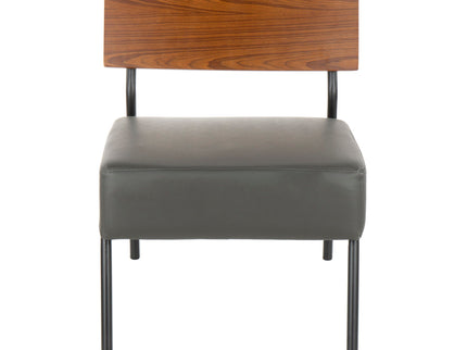 Fiji - Contemporary Chair - Gray / Walnut