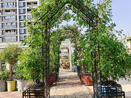 Garden Arch With Adjustable & Climbing Plants Support - Black