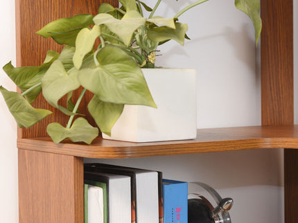L-Shaped Corner Bookshelf