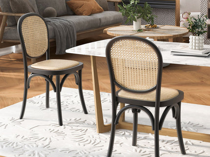 Vintage Style Dining Chairs (Set of 2)