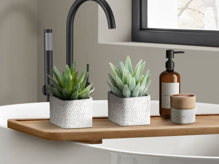 Artificial Succulent, Table Decor (Set of 2) - Green / Gray
