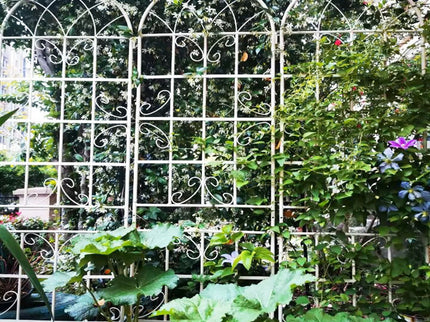 Metal Garden Rustproof Trellis For Climbing Plants Outdoor Flower Support