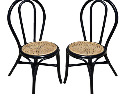 Rattan Dining Chair (Set of 2) - Black Multi