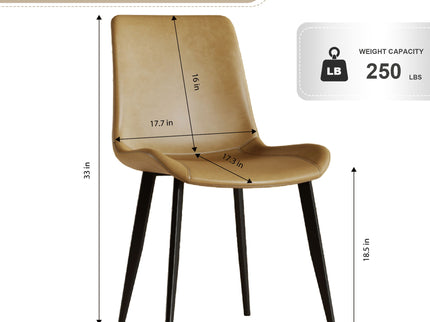 Modern Dining Chair With Carbon Steel Legs