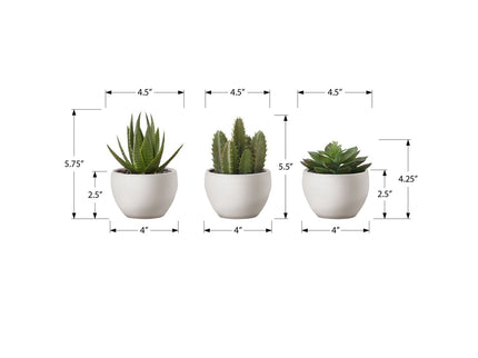 Artificial Succulent Plants (Set of 3)