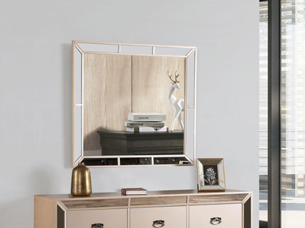 Elegant Contemporary Mirror
