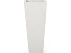 White / 13