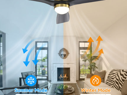 52" Ceiling Fan With Dimmable LED Light, 6 Speed DC Motor, 3 Blades