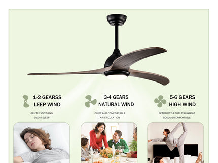 Indoor Outdoor Ceiling Fan With Light With Remote Control, Noiseless Reversible Motor, 6 Speed, 3 Color