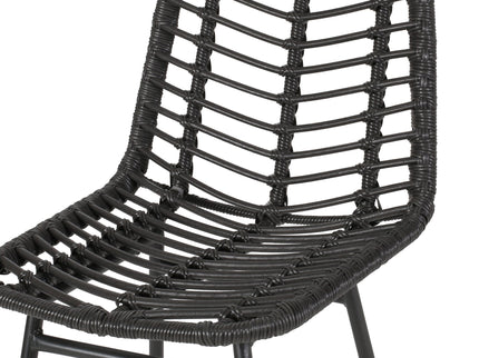 Sawtelle - Outdoor Wicker Barstools (Set of 2)