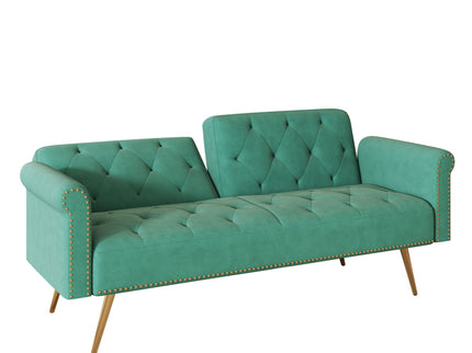 Luxurious Sofa Bed With Nail Head Trim And Matching Pillow