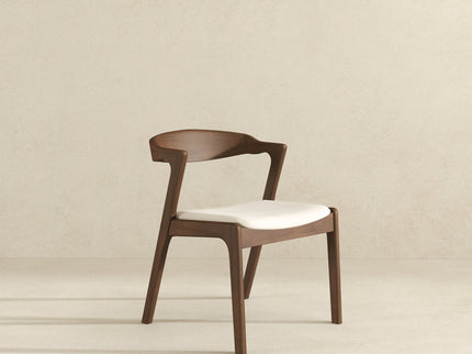 Dakota - Mid-Century Modern Dining Chair (Set of 2)