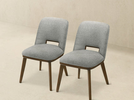 Blake - Modern Dining Chair (Set of 2)