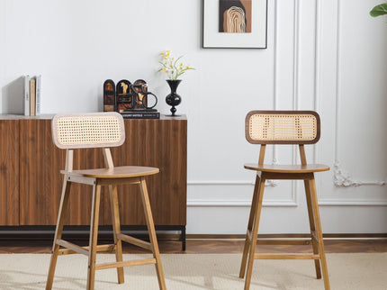 Bari - Indoor Wood Barstool (Set of 2)