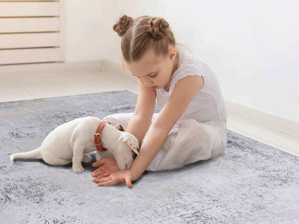 Maval - 8' X 10' Area Rug Washable - Gray / Gold