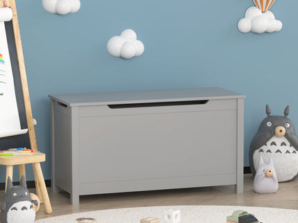 Toy Box Storage With Safety Hinged Lid