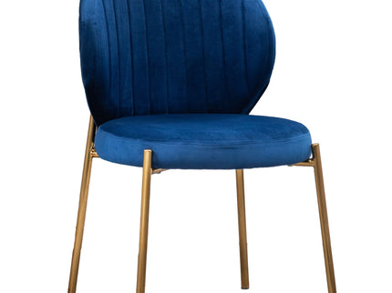 Amoa - Contemporary Velvet Upholstery Dining Chair - Blue