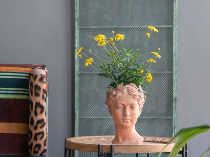 D7X11" Visage Head Bust Planter - Brown