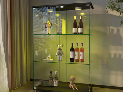 Modern Display Cabinet With LED Lights, Transparent Tempered Glass 2 Door Storage Case With 3 Shelves