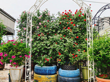 Metal Garden Arch Assemble Freely With 8 Styles Garden Arbor Trellis Climbing Plants Support Rose Arch