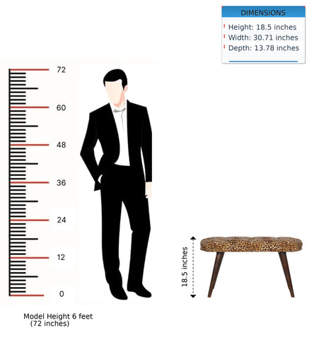 Nordic Bench