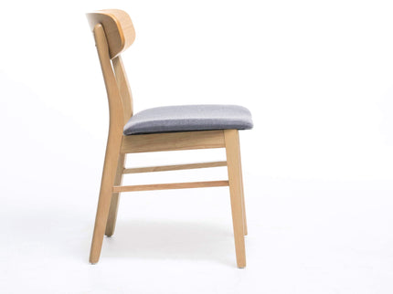 Brilliantine - Dining Chair With Cushion And Wood Frame (Set of 2)