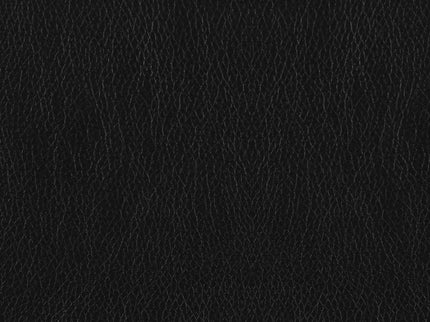 Eaton - Padded Sofa With Tufted Design - Black