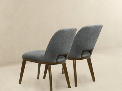 Blake - Modern Dining Chair (Set of 2)
