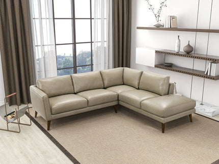 Benson - Sectional Sofa With Chaise