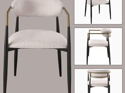 Jaramillo - Contemporary Side Chair (Set of 2)