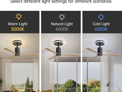 Modern Flush Mount Ceiling Fan With Led Light And Remote Control, 3 ABS Blades Noiseless Reversible Dc Motor For Patio Living Room - Matte Black