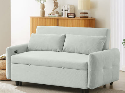 Pull-Out 2 Seat Modern Sleeper Sofa With 2 Throw Pillows And USB Ports